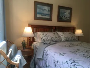 The Pines. A beautiful, relaxing country house. - Image 5