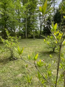 Charming house and large enclosed and wooded garden - Image 5