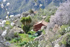 Lovely cave house the Pedregal - Image 4