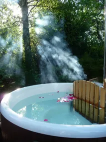 Exclusive Wellness Oasis, Sauna & Hot Tub - Image 3