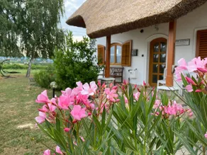 Emese apartment - View and pool - Image 2