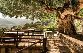 Historic farmhouse in the Cilento countryside - Apartment 2 - Image 4