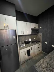 Luxurious Executive Apartment #3 - Image 3