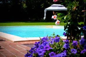 Farmhouse with pool (Peperoncino) - Image 3
