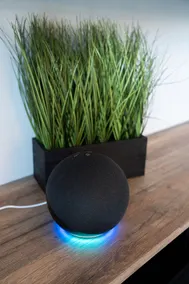 Eden Boutique Smart Home - Image 5