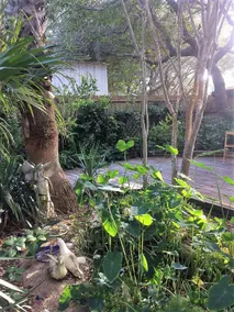 Backyard Bungalow - Image 3