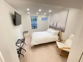 NEW! Great Location - Luxury Basement Private Apt - Image 3