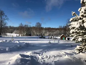 Cozy cottage in the silence of nature - Image 4