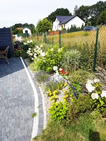 Lawendowy Zaułek - pine apartment - Image 5