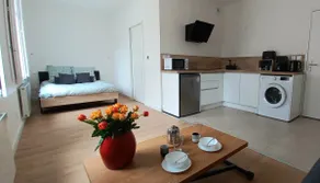 Large studio with parking, air conditioning, and a view of the Loire - in the heart of the city - Image 2