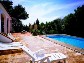 Villa with swimming pool and private pine forest 100 meters from the sea - Image 4
