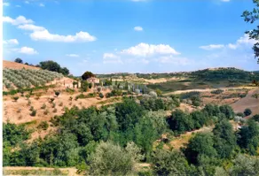 Villa Mulinello, view of Montepulciano - Image 4