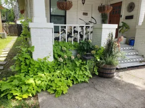 The Mid City Bungalow - 2 Miles from LSU - Image 4