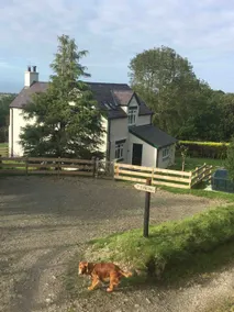 Ffrith Bach - Image 2