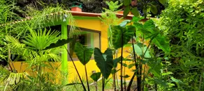 Exotic House 60m2 THUIR France - Image 4