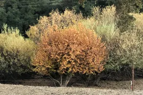 Casey Redtail Ranch - Image 4