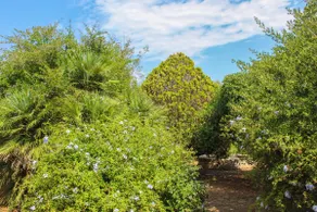 City of Mirto – Cottage 2 - Image 5