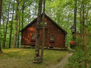 Lakside log cabin w/ kayaks & firepit - Image 5