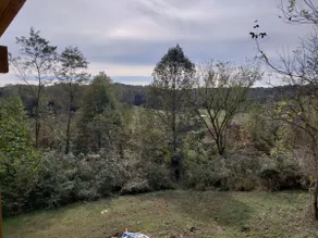 A-frame cabin in the woods #2 - Image 5
