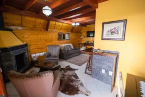 Cozy chalet - Santa Catarina mountain range Bom Retiro - Image 5