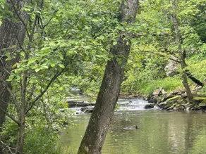 The Creekhouse - Image 5