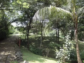 Casa Pericos-4BR+, 2.5 Acres, Cable Wi-fi, A/C overlooking Bay in Playa Carrillo - Image 4