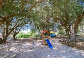 Mimosa Apartment in Marina di Camerota - Image 4
