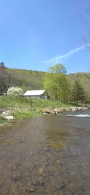 Thorn Creek Cottage - Image 3