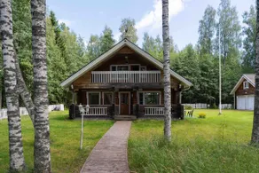 Birch grove - Image 4