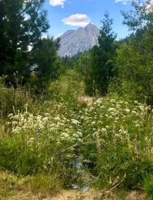 Headwaters Lodge of Mount Shasta - Image 3