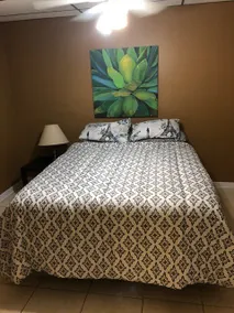 Quiet, spacious basement suite - Image 3