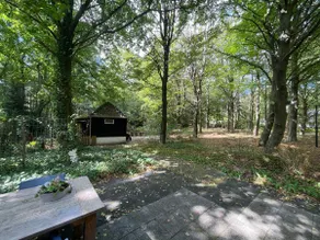 Quirky Forest House - Image 2
