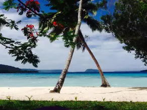 Absolute beach front bungalows - Image 2