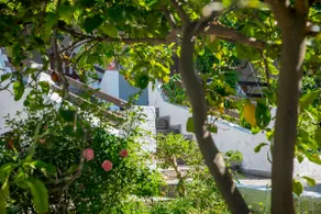 ILIOCHARI sea view apartments Oropos - Kalamos - Image 5