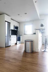 Manhattan Penthouse with Huge Terrace - Image 3