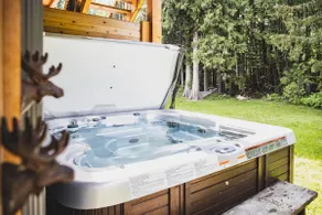 The Forest Suite: 2 Bedrooms + Hot Tub - Image 3