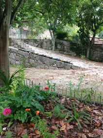 Country house, pool, garden - PT - Image 2