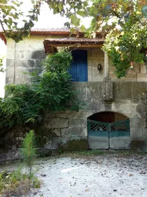 Country house, pool, garden - PT - Image 5