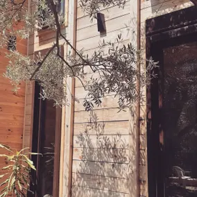 OLEA COTTAGE - Image 5