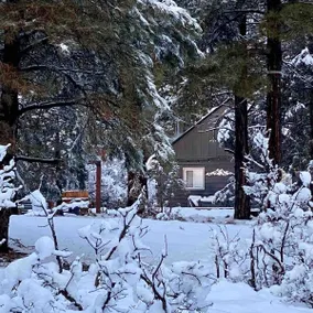 Basecamp Durango Cabin - near town *dog friendly* - Image 2