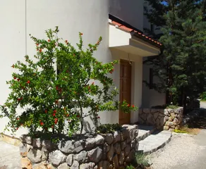 Apartments Juliška Pirovac- Studio - Image 2