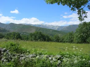 El Tormal - Image 5