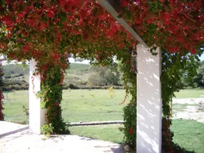 THE OLIVE PRESS - Alentejo by Portus Alacer - Image 4