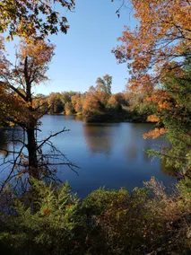 Honey Creek Hideaway at Back Country Camp - Image 3