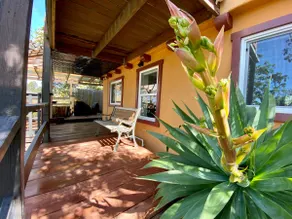 Sunny Studio in Gorgeous North Berkeley Hills - Image 2