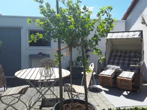 Beautiful living with terrace in a great location - Image 3