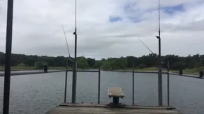 Little Off Lake House - Image 3