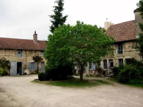 Le Piano - Image 4