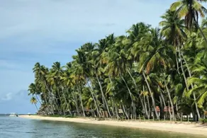 Carneiros Beach Brazil - Image 2