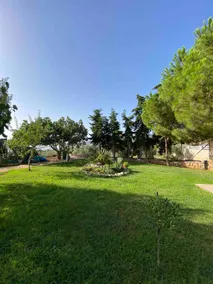 Sophia's Home - Image 5